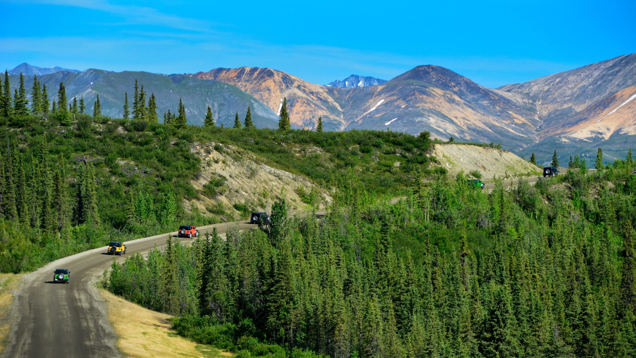 denali-jeep-tours-2