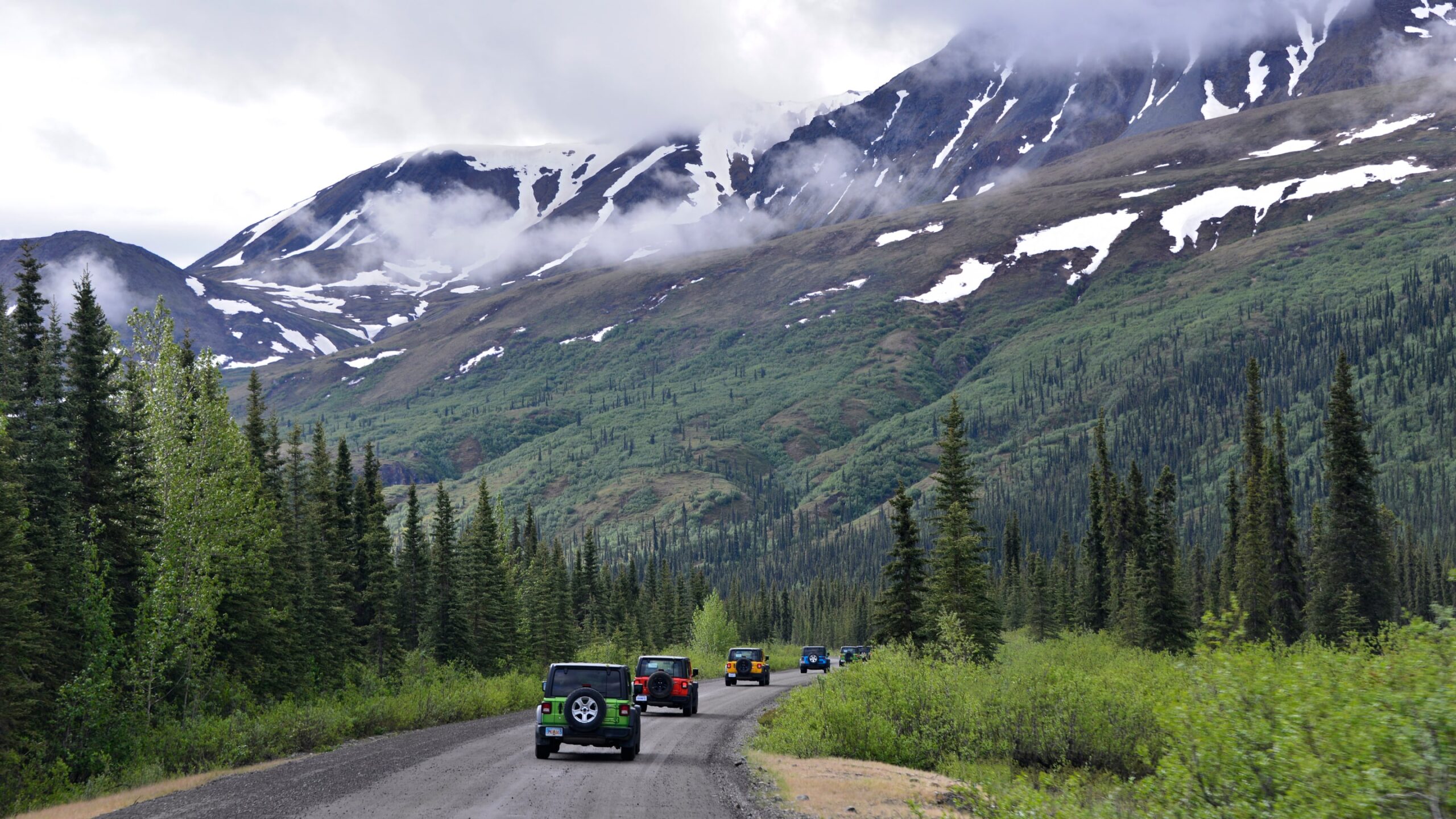 denali-jeep-tours-3