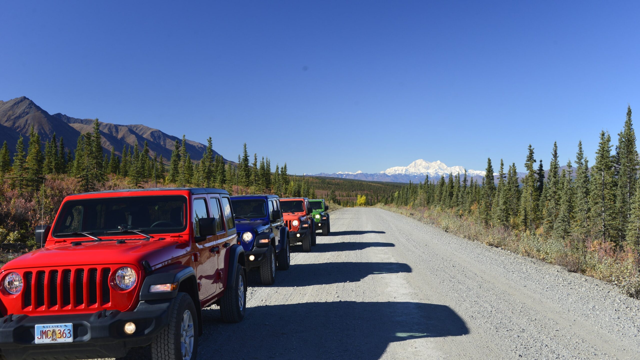 denali-jeep-tours-5